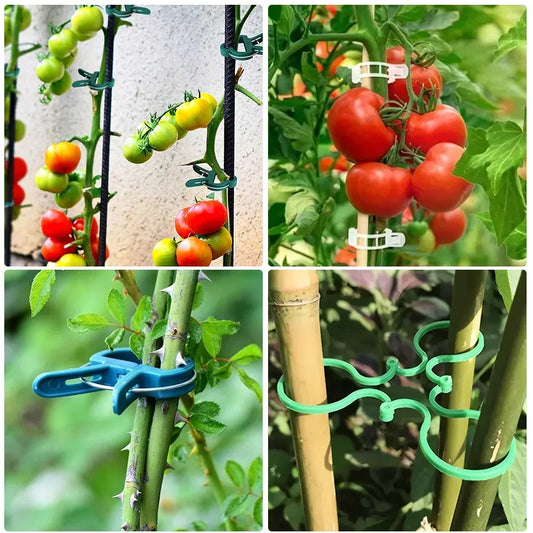 20 Gartenklammern für Pflanzenstütze – Ideal für Tomaten und Gemüse