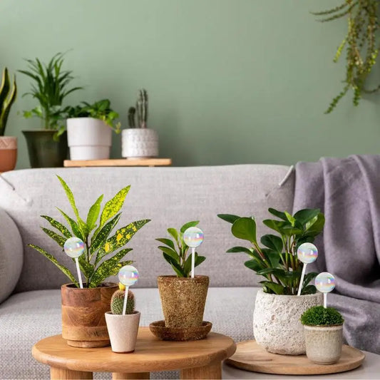 Selbstbewässernde Glas-Kugeln für Pflanzen – 2-6 Stück, Pflegeleicht - Effektiv