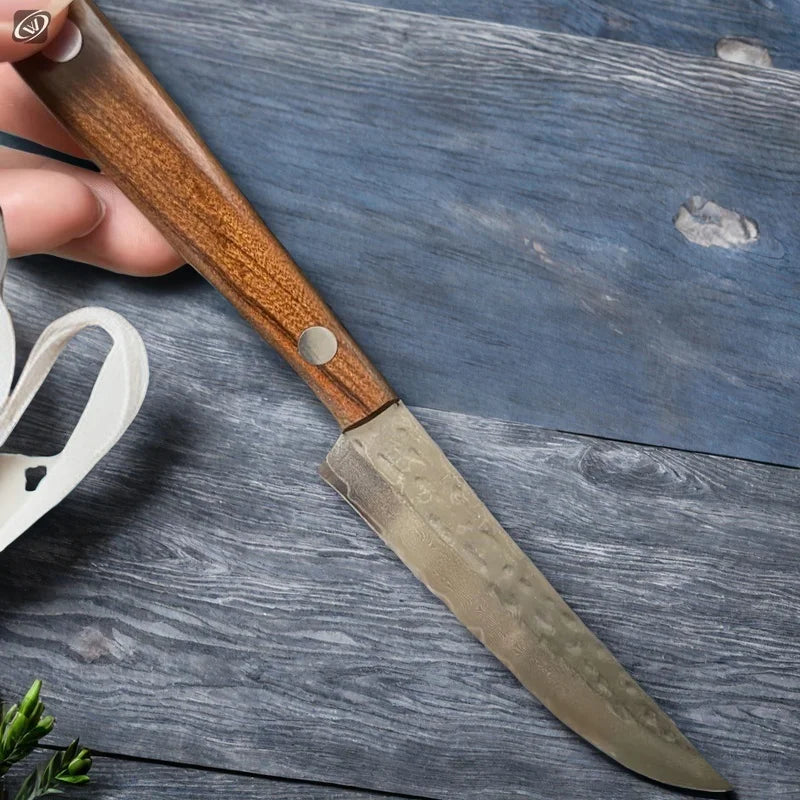 67 Lage geschmiedetes Damaskus Stahl Steakmesser mit Massivholzgriff
