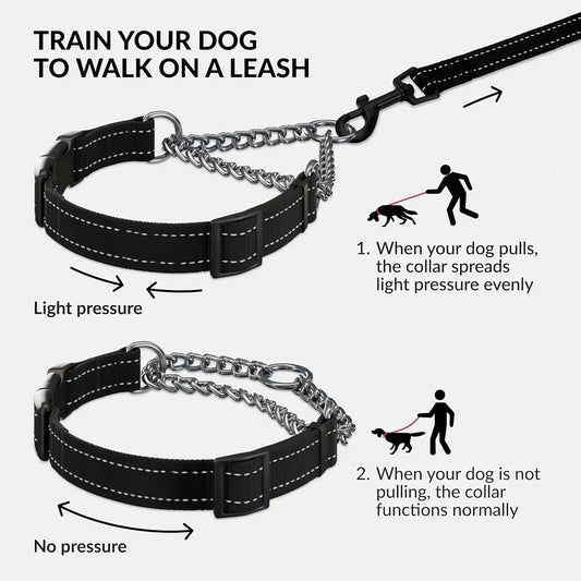 Edelstahl Hundehalsband mit reflektierendem Nylon für kleine bis große Hunde