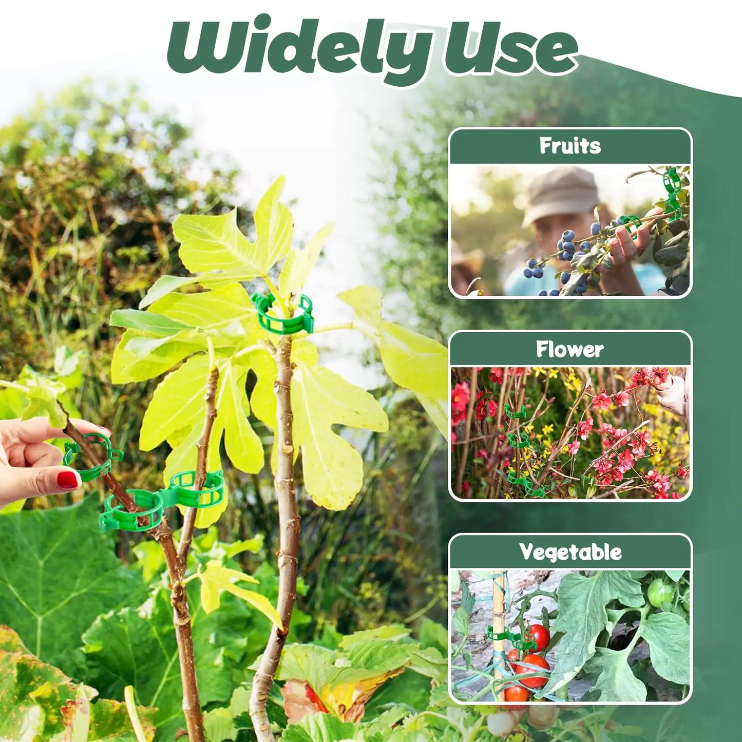 Pflanzenstützklammern – Effektive Unterstützung für Gartenpflanzen