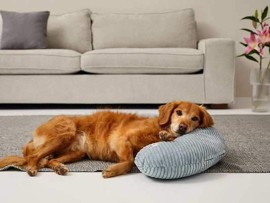 Wechselbezug aus hochwertigem Cordstoff für Kuschelhundebett-SABRO GmbH