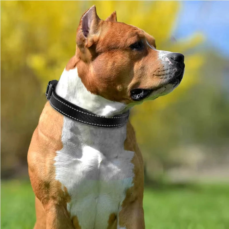 Reflektierendes Hundehalsband mit personalisierbarer ID-Schnalle, verstellbar