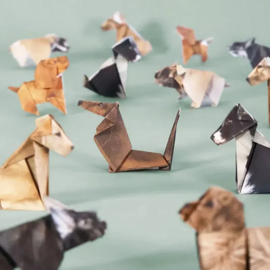 Kreatives DIY Papier Bastelset für Tiere Faltkunst