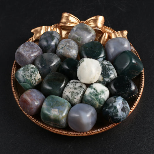 10er Set Polierte Natursteine für Heim und Aquarium