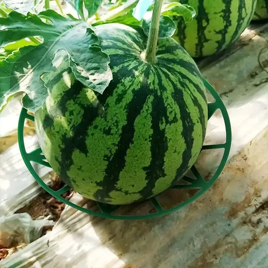 Robustes Anti-Rotten Melonen- - Obsttablett aus Kunststoff – Schutz für Gartenfrüchte