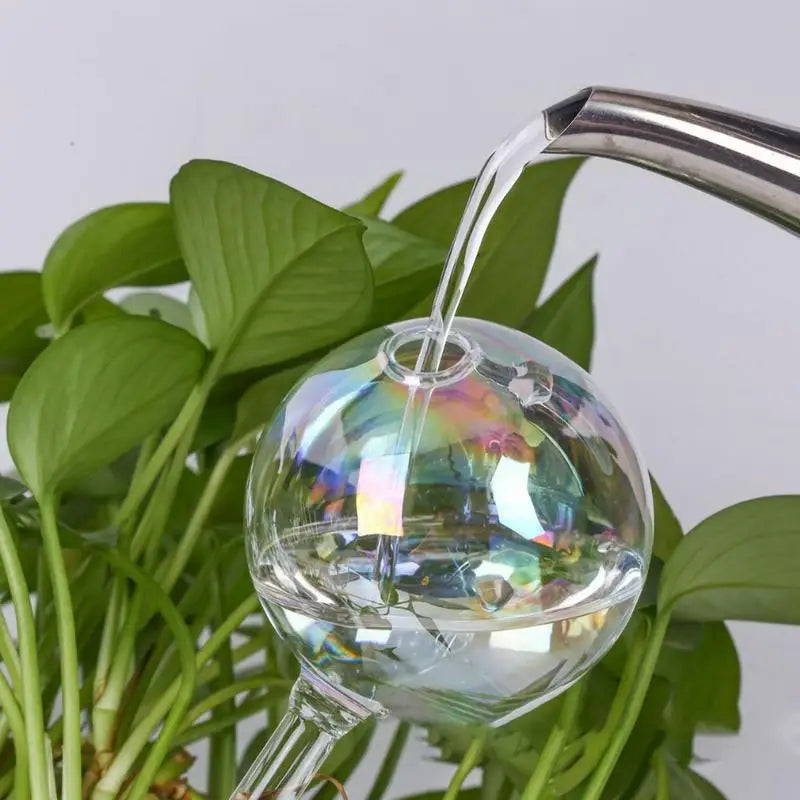 Selbstbewässernde Glas-Kugeln für Pflanzen – 2-6 Stück, Pflegeleicht - Effektiv