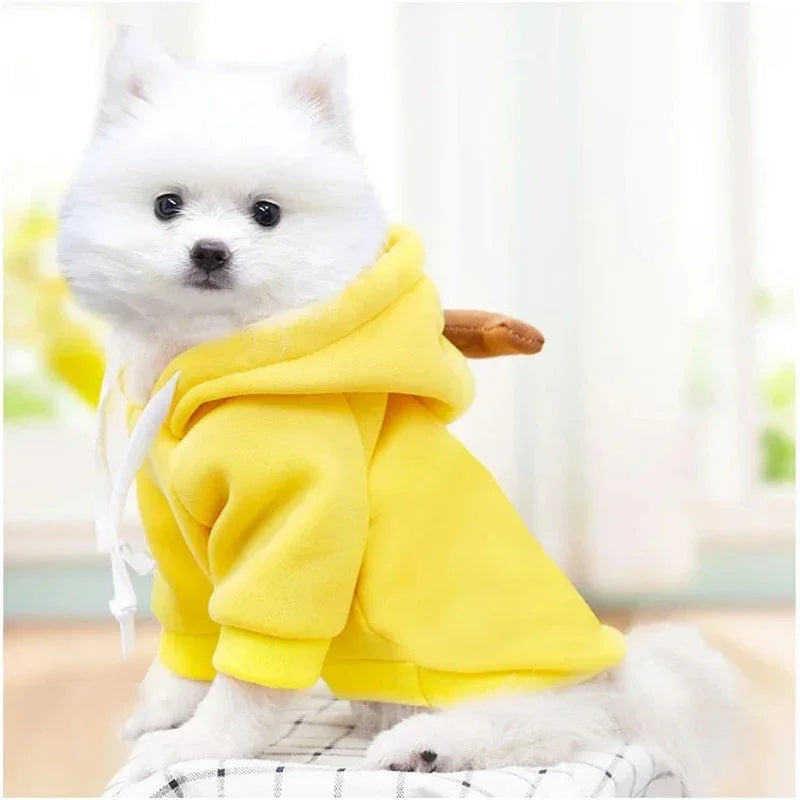 Niedlicher Obst Fleece Hoodie für kleine Hunde und Katzen Welpen