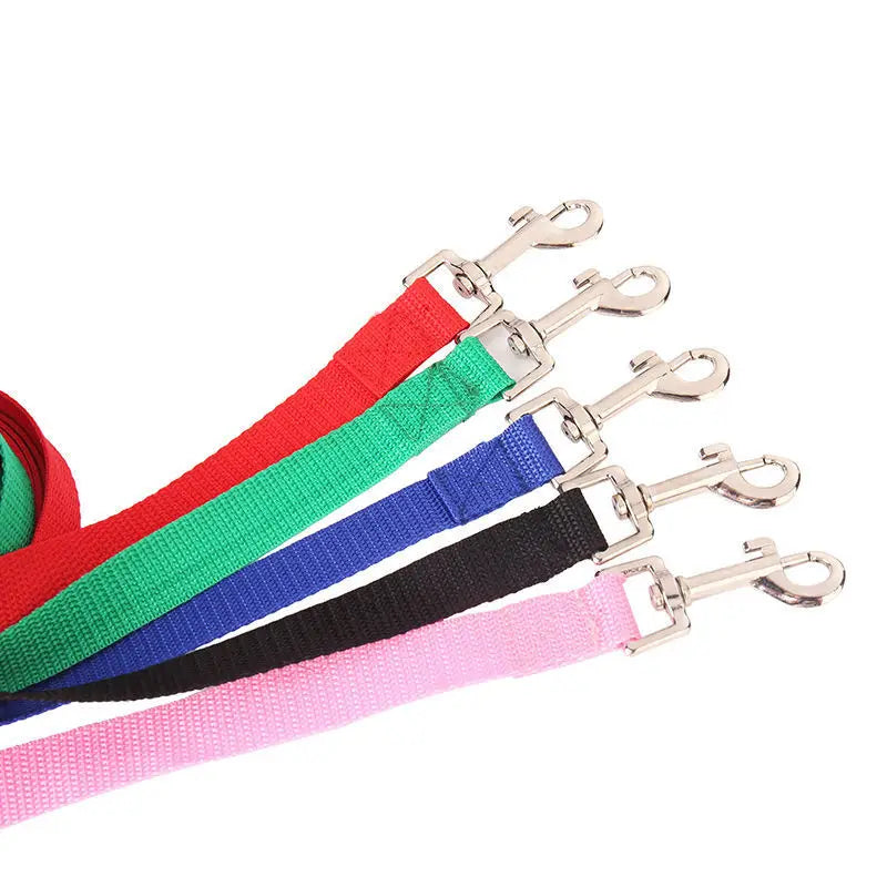 Überlange Nylon Hundeleine 1,2 bis 30 m für sicheres Outdoor Training