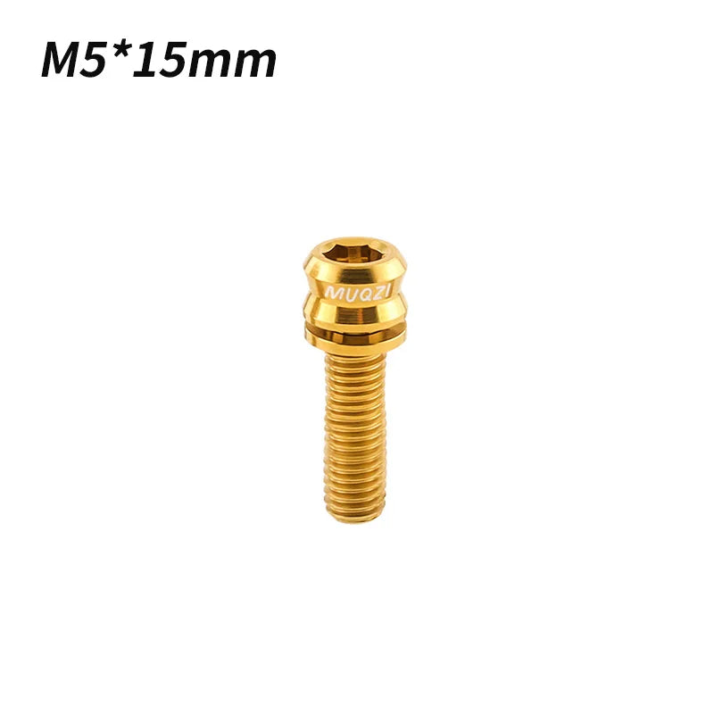 Titan Fahrrad Schrauben M5 und M6 Verschiedene Längen für Headset Vorbau