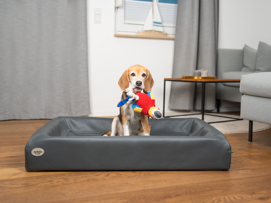 Buntes Hunde Kuscheltier Papagei PEPE mit weichen Flügeln und Tau-Beinen-SABRO GmbH