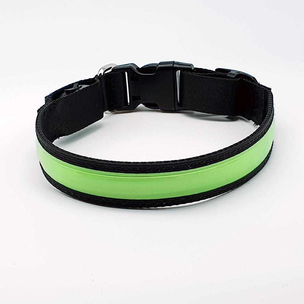 LED Hundehalsband mit stabilem Nylon und wiederaufladbarem Akku
