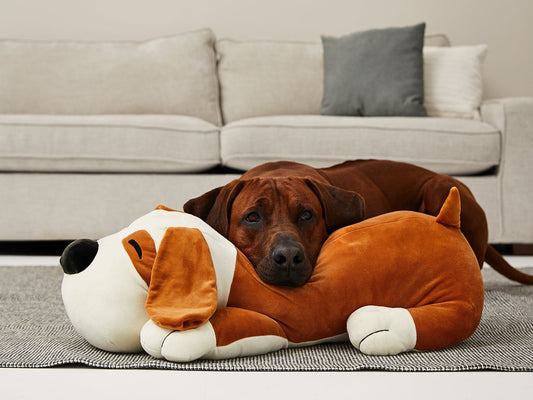 Kuscheliger Plüschhund TOMMI für Hunde 70 cm großer Begleiter-SABRO GmbH