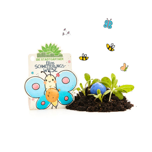 Blumenmurmel mit Wildblumen Saatgut nachhaltige Geschenkidee für Kinder-Die Stadtgärtner