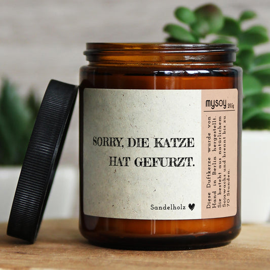 sorry, die katze hat…-mysoy