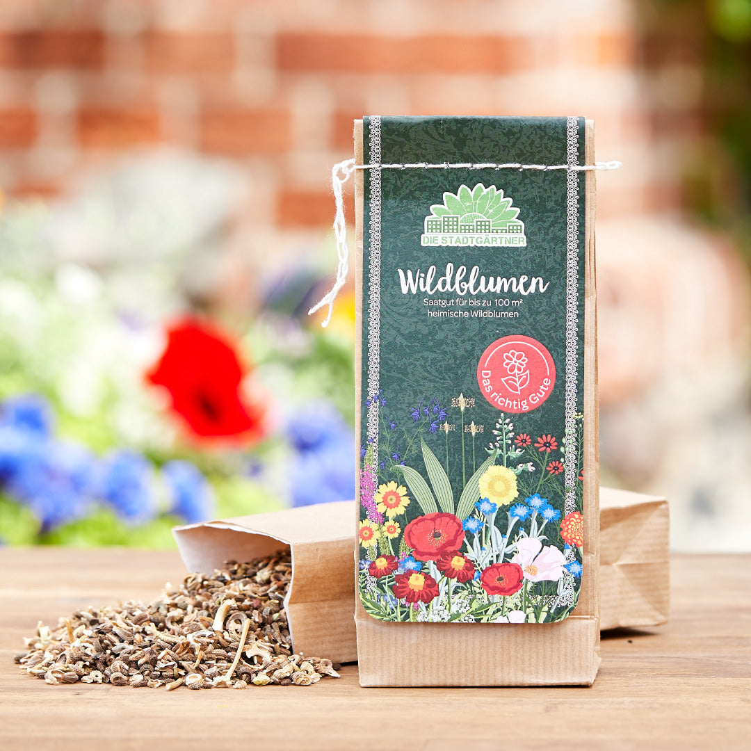 Warum Wildblumen Saatgut Unser Verständnis von Gärten Revolutioniert
