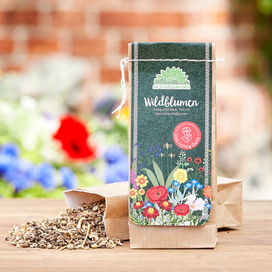 Warum Wildblumen Saatgut Unser Verständnis von Gärten Revolutioniert