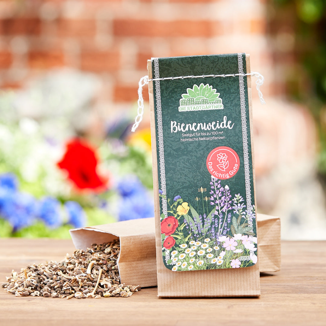Warum heimische Wildblumenmischungen unsere Sicht auf Gartenvielfalt verändern sollten
