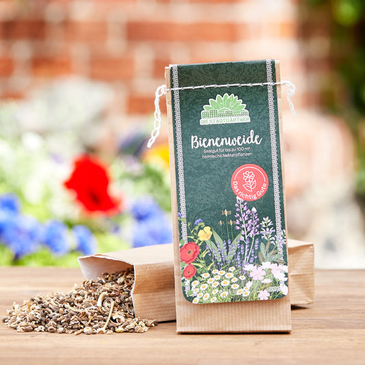 Warum heimische Wildblumenmischungen unsere Sicht auf Gartenvielfalt verändern sollten