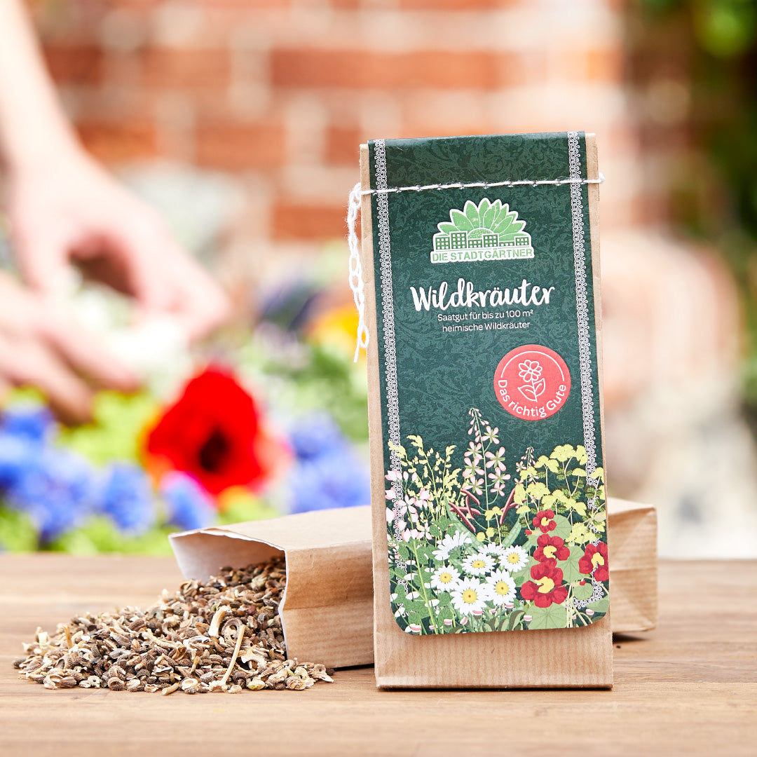 Warum Wildkraeuter Saatgut Unser Gartenverstaendnis Revolutioniert
