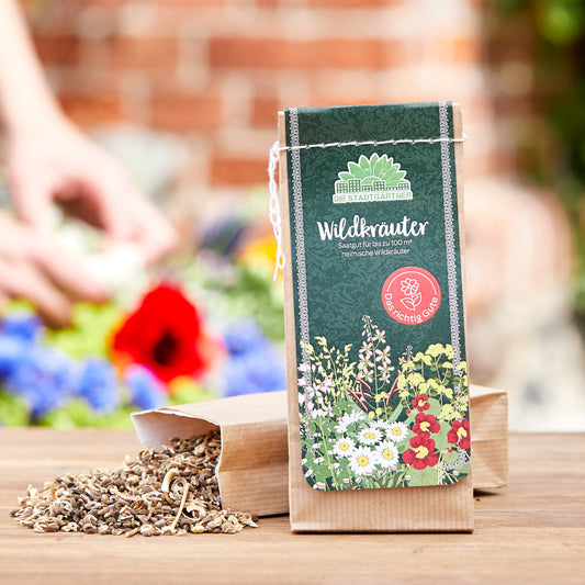 Warum Wildkraeuter Saatgut Unser Gartenverstaendnis Revolutioniert