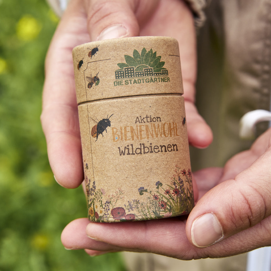 Wildbienenwiese Anlegen Aus Einem Ganz Neuen Blickwinkel