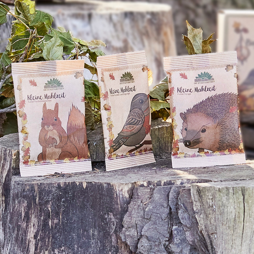 Nachhaltige Wildnahrung neu gedacht Kleine Mahlzeiten für Igel Eichhörnchen und Vögel
