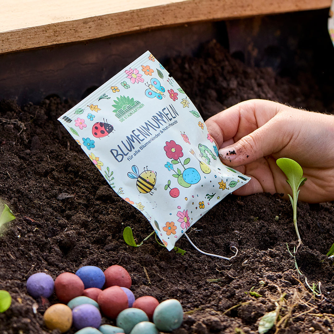 Warum Blumenmurmeln Mehr Sind Als Ein Kinderspiel