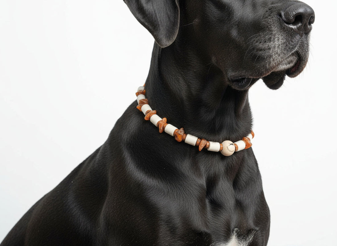 EM Keramik Kette Amberwood für Hunde Stil und Naturverbundenheit