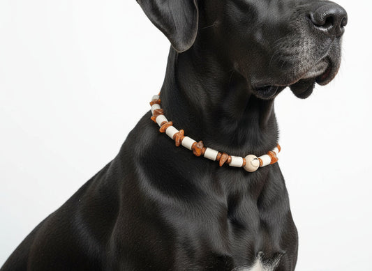 EM Keramik Kette Amberwood für Hunde Stil und Naturverbundenheit