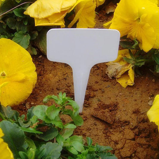 Garten organisieren leicht gemacht: So behalten Sie den Überblick über Ihre Pflanzen