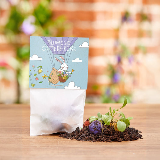 Warum Wildblumen Saatkugeln mehr sind als nur Fruehlingsdeko