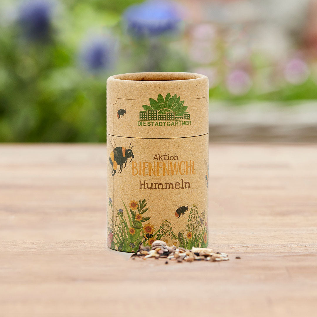 Wildblumenwiese anlegen: So schaffen Sie Lebensraum fuer Hummeln und Bienen