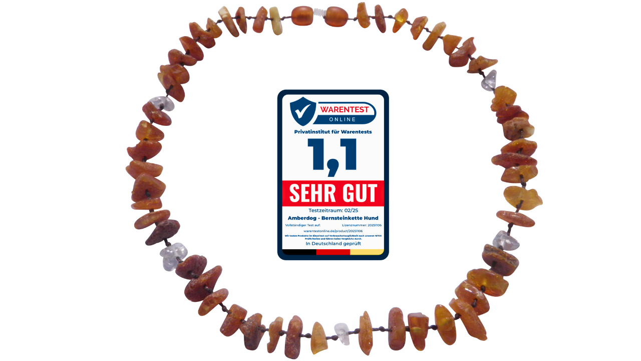 Exklusive Bernsteinkette mit Bergkristall – Handgefertigtes Hunde-Highlight