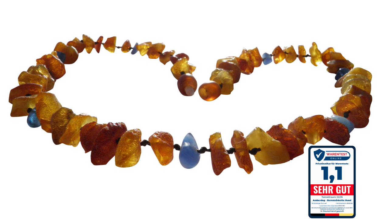 Exklusive Hunde Bernsteinkette mit Blauquarz – Natürlich & Elegant