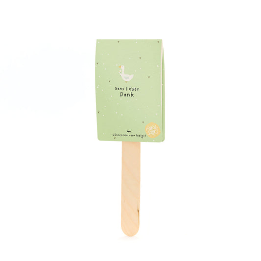 Saatgruß Gans lieben Dank mit Gänsemotiv und echten Gänseblümchen-Die Stadtgärtner