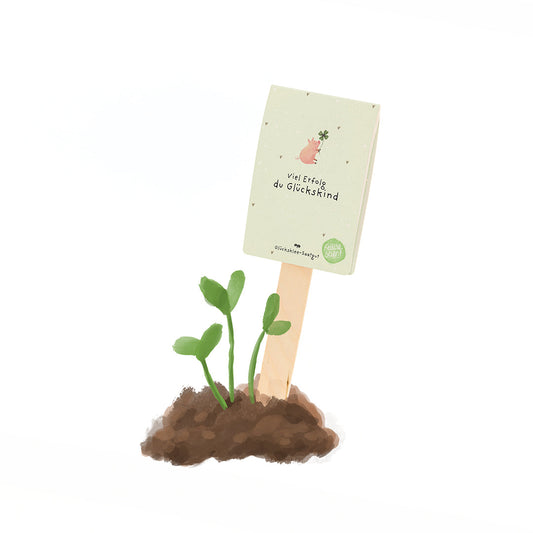 Viel Erfolg du Glückskind Saatgruß mit echtem Glücksklee zum Aussäen-Die Stadtgärtner