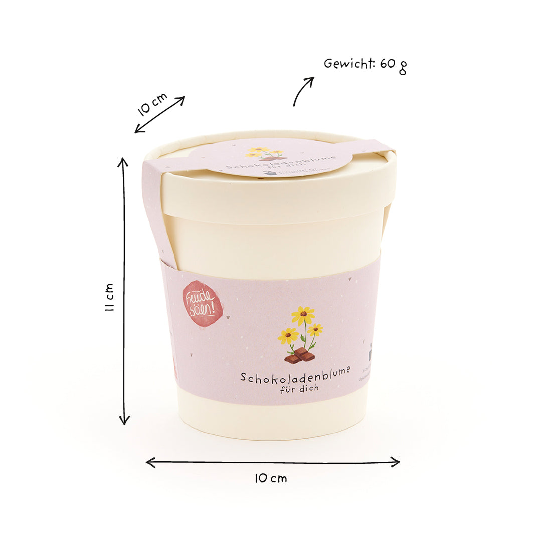 Schokoladenblume Anzuchtset im Becher Duftende Schokoblumen selbst ziehen-Die Stadtgärtner