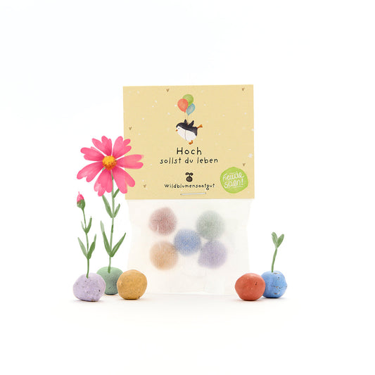 5 Blumenmurmeln im Tütchen "Hoch sollst du leben"-Die Stadtgärtner