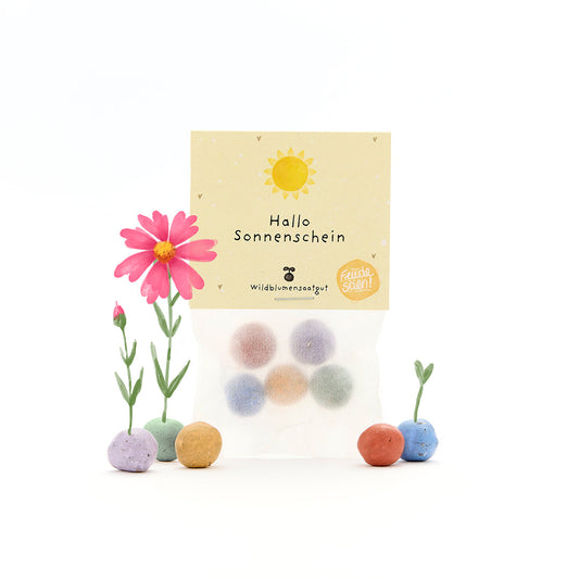 Set mit 5 bunten Blumenmurmeln im Tütchen Hallo Sonnenschein Geschenk-Die Stadtgärtner