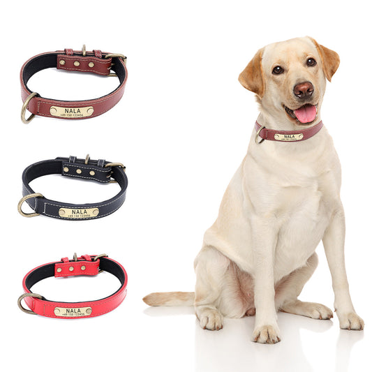Personalisiertes Hundehalsband Leder mit Namensschild Messing
