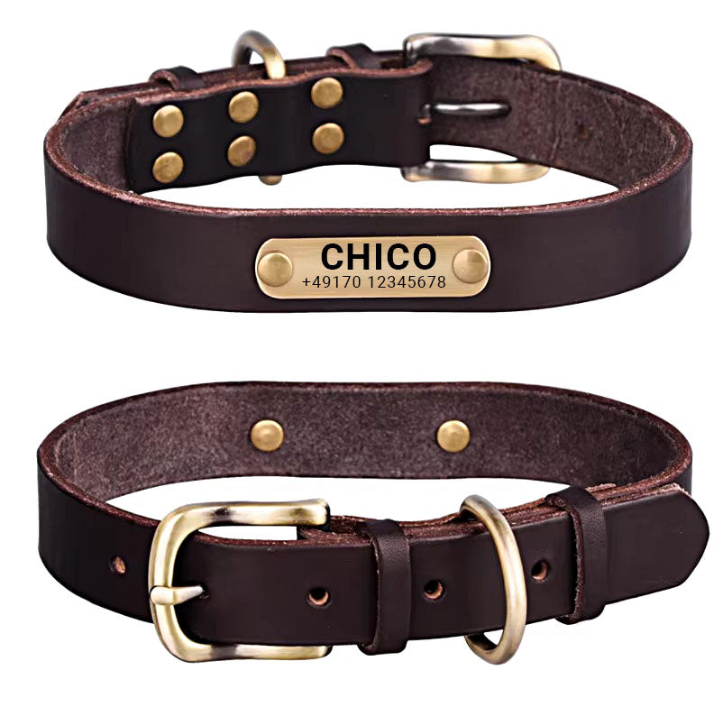 Echtleder Hundehalsband mit Messingschnalle und Gratis Gravur