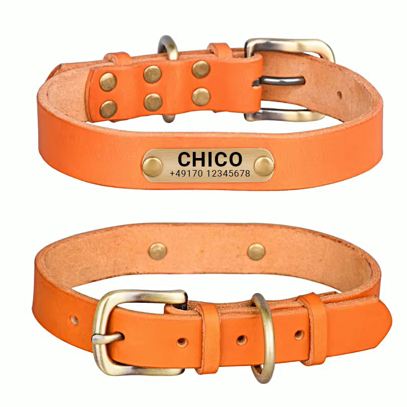Echtleder Hundehalsband mit Messingschnalle und Gratis Gravur