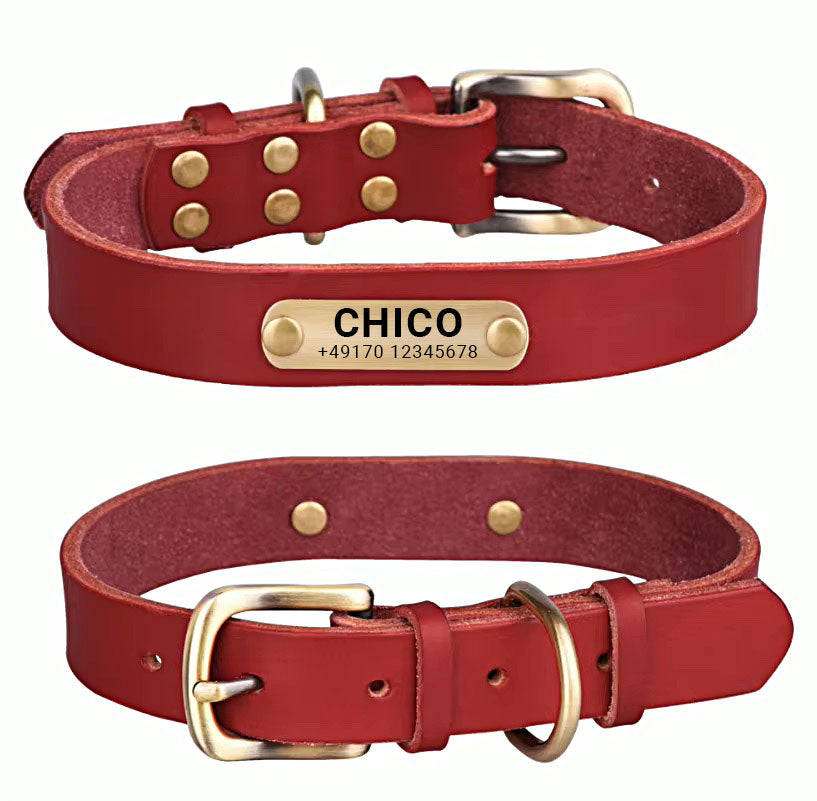 Echtleder Hundehalsband mit Messingschnalle und Gratis Gravur