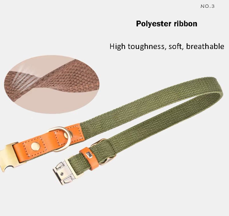 Hundehalsband Valdo mit Gravur robustes PE Gewebe Leder