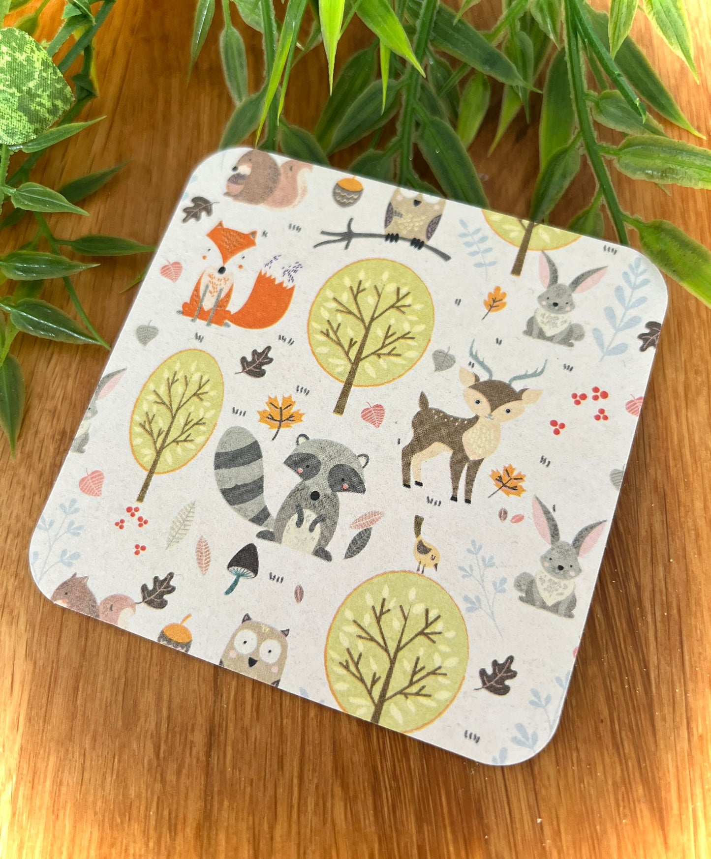 Untersetzer Waldtiere Bierdeckel Set 50 Stück eckig