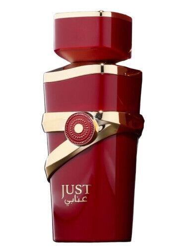 Fragrance World Just Anabi Eau de Parfum 100 ml Unisex Duft-BEAUTY PLATZ