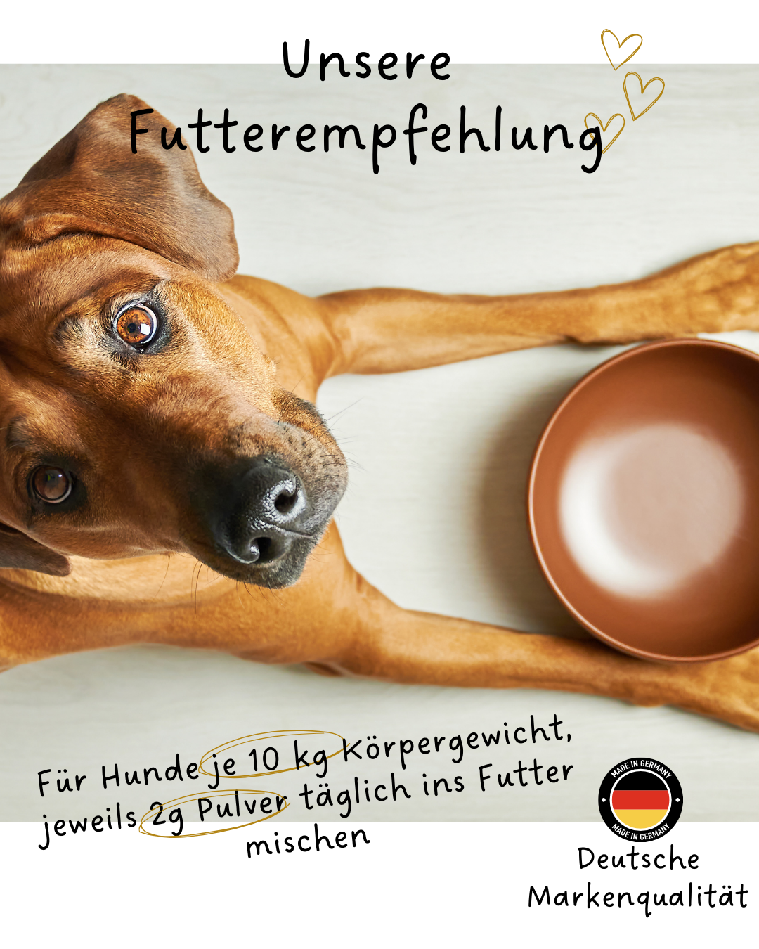 Riolino FreshBite natürliche Zahnpflege für Hunde mit Plaqueschutz-Riolino