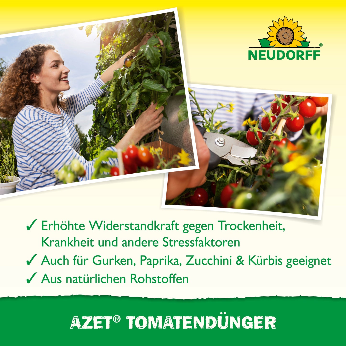 Azet Tomatendünger Organisch für reichhaltige aromatische Tomaten-Neudorff Shop