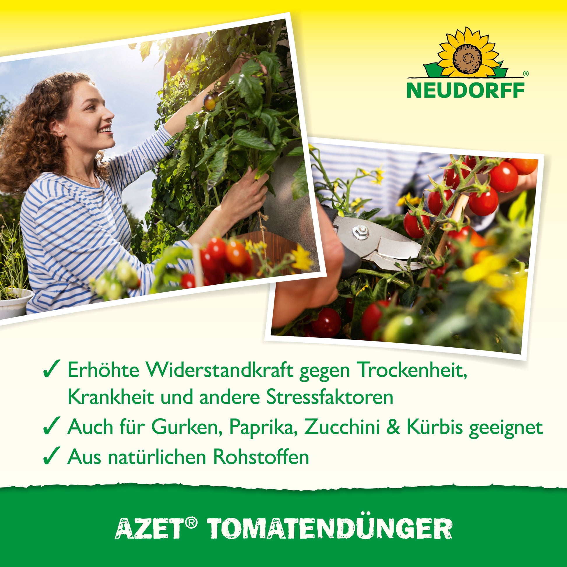 Azet Tomatendünger Organisch für reichhaltige aromatische Tomaten-Neudorff Shop